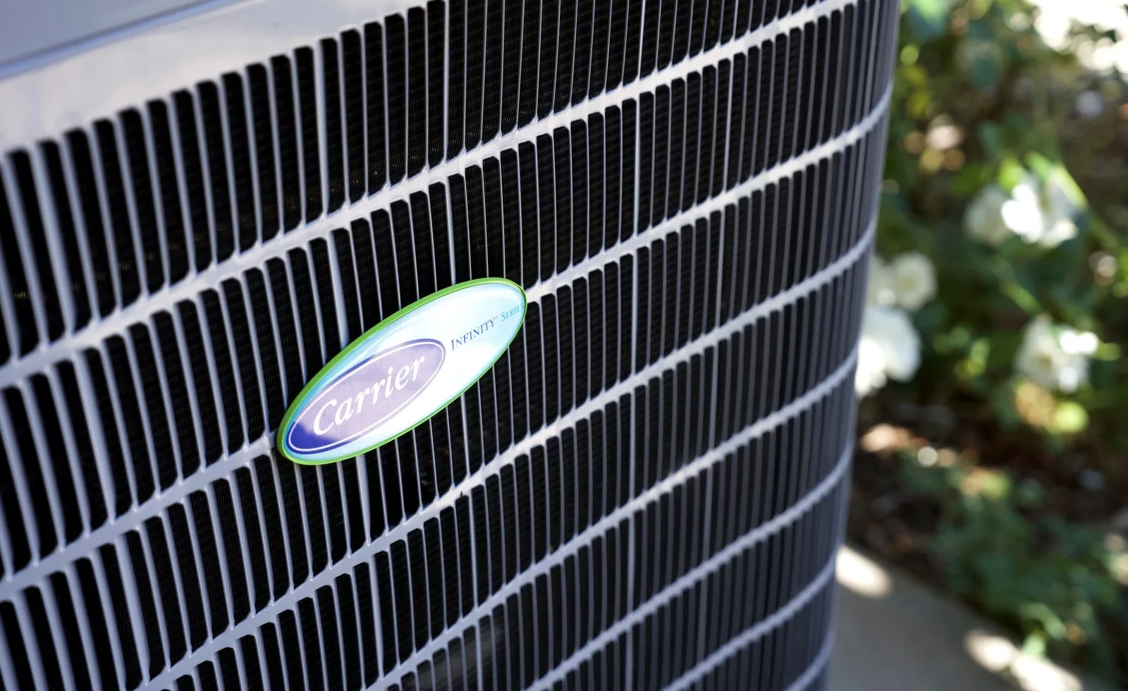 Heat Pumps at Altitude